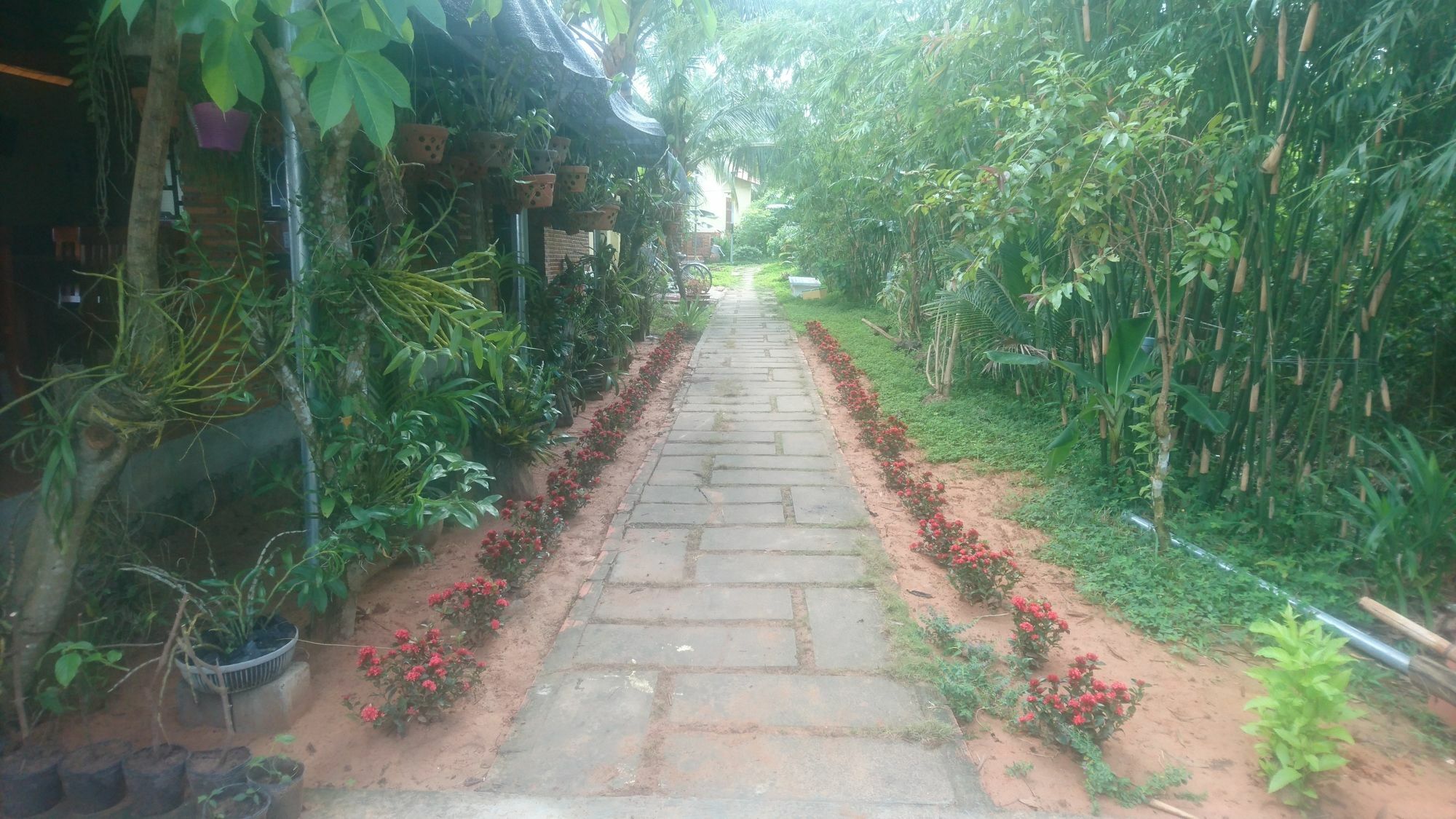 Orchard Fruit Farm Bungalow Phú Quý Zewnętrze zdjęcie